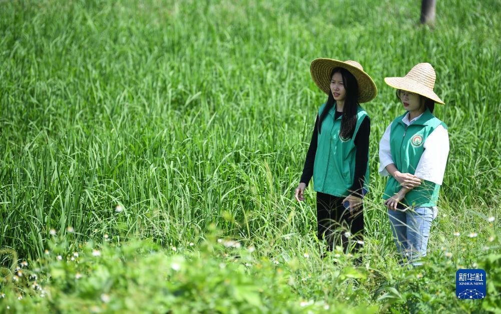 太阳集团2018登录网址